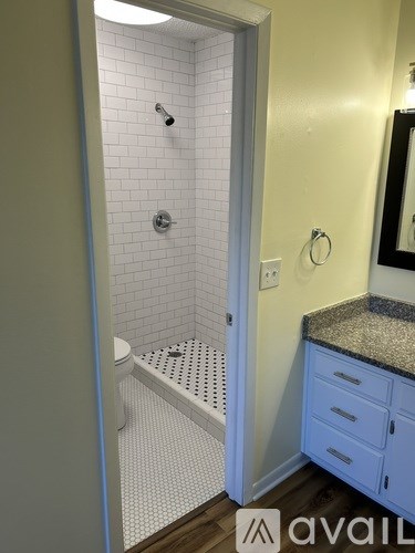 A bathroom with a walk-in shower and a toilet.