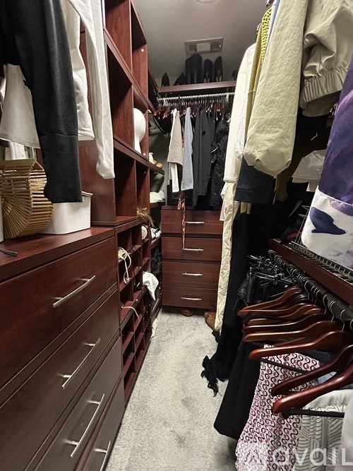A walk in closet with clothes hanging and drawers.