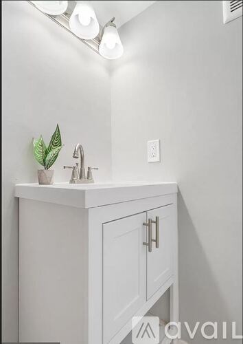 A white sink with a plant on it.
