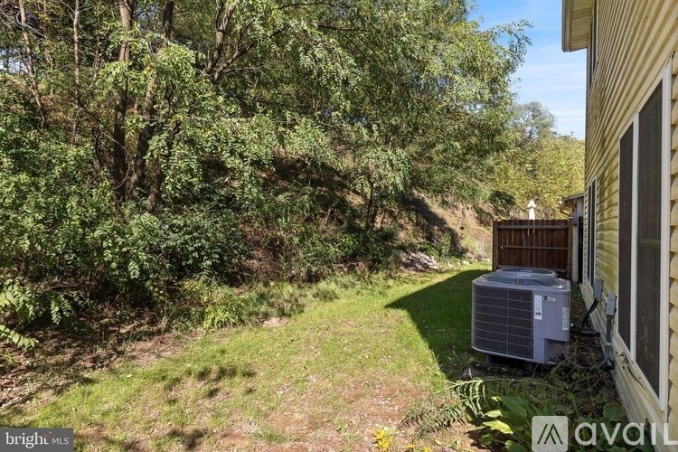 A backyard with a tree and a house.