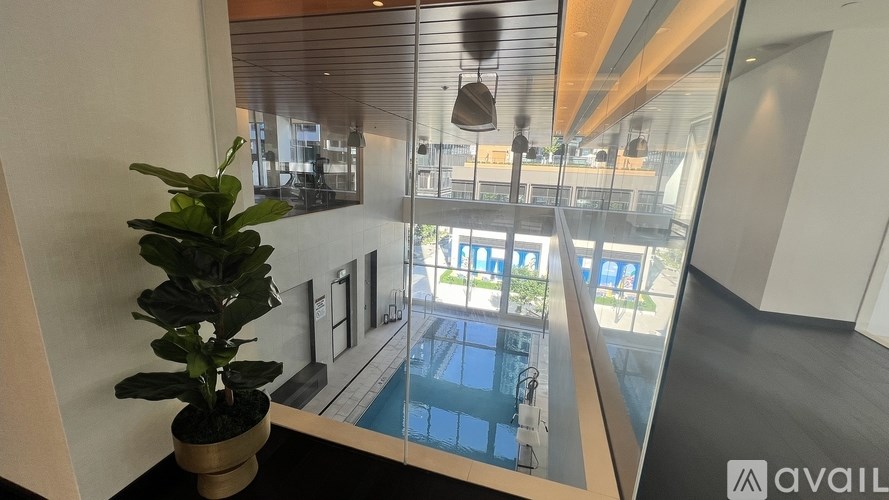 A plant sits on a table in front of a window with a view of a pool and buildings outside.