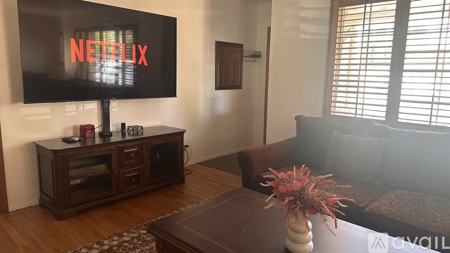 A living room with a Netflix TV and a brown sofa.