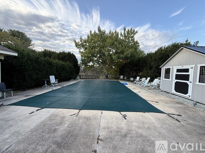 A backyard with a pool and a shed.