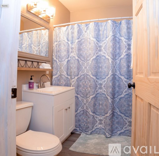 A bathroom with a toilet, sink, and shower curtain.