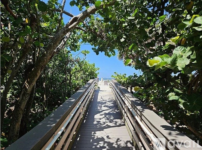 A wooden boardwalk leads through a grove of trees.