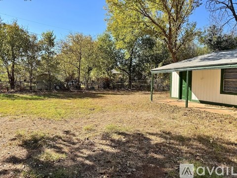 A backyard with a shed and trees.