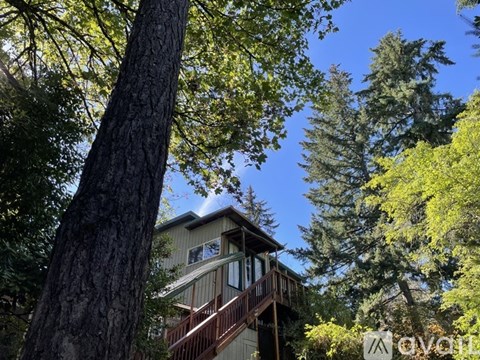 A tree in the foreground with a house in the background.
