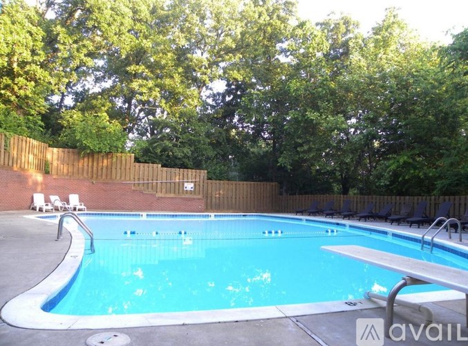 A pool surrounded by a wooden fence and trees.