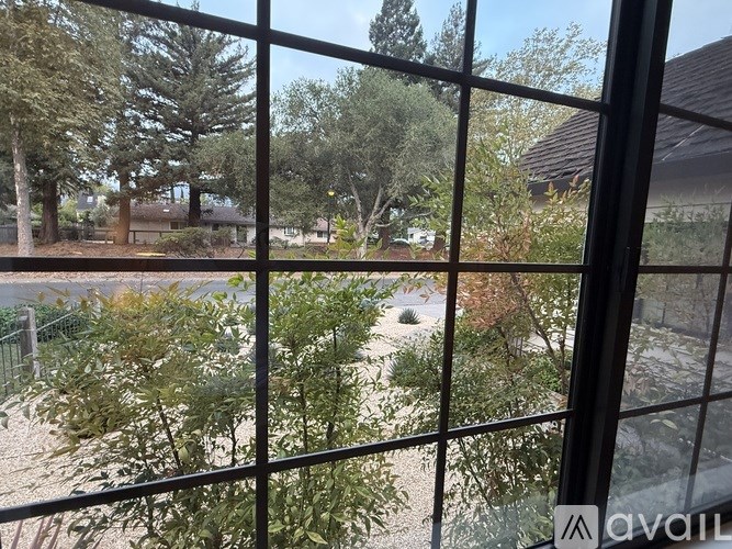 A view from inside a building looking out through a window at a garden.