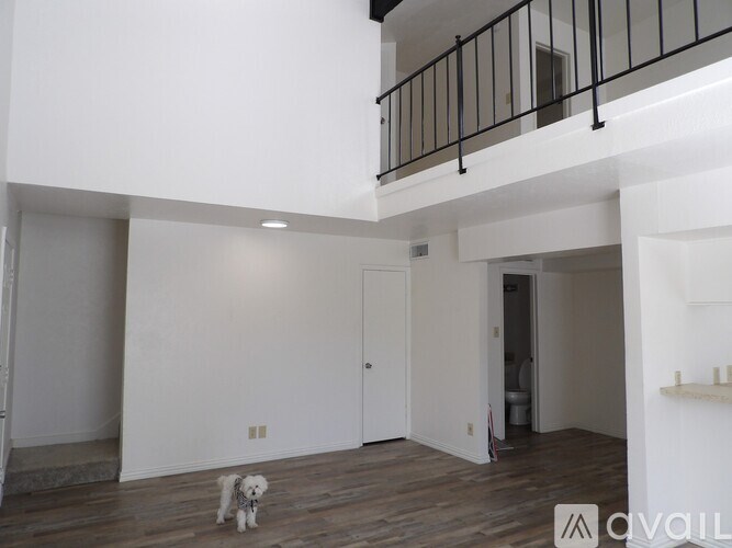 A dog is standing in a spacious, empty room with wooden floors and white walls.