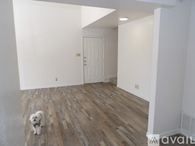 A small white dog is standing on a wooden floor in a room with white walls and a white door.