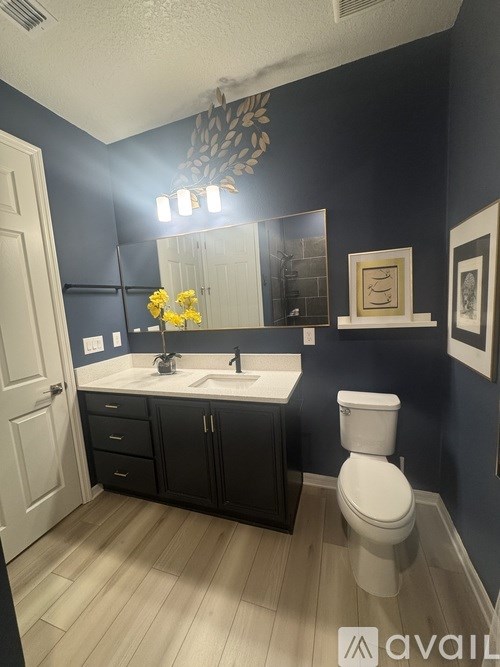 A bathroom with a white toilet and a sink with a mirror above it.