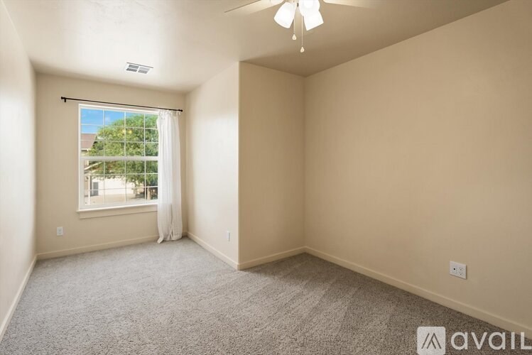 A room with a carpeted floor and a window with a view of trees.