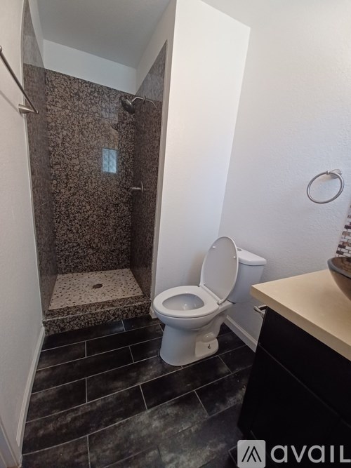 A bathroom with a toilet and a walk-in shower.
