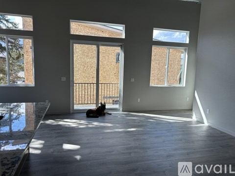 A dog is sitting on the floor of a large, empty room with a view of a fence and trees outside the window.