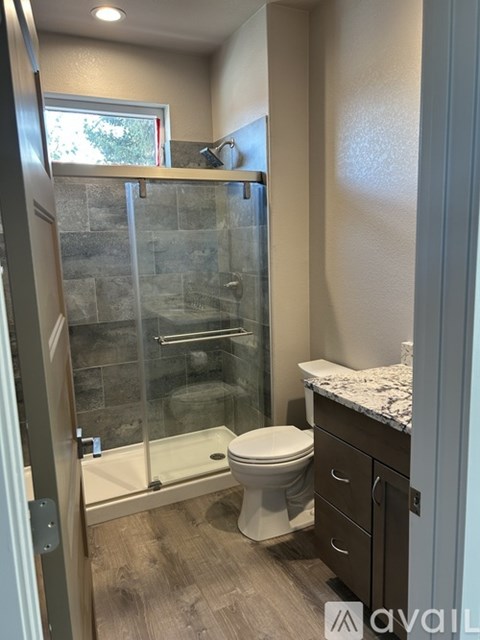 A bathroom with a walk-in shower and a toilet.