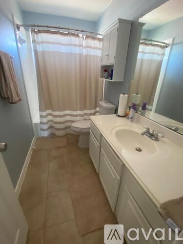 A bathroom with a sink, toilet, and shower curtain.