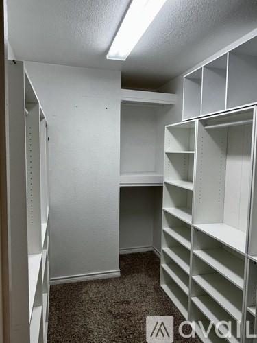 A white closet with shelves and a carpeted floor.