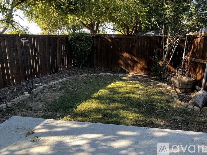 A backyard with a wooden fence and a tree.