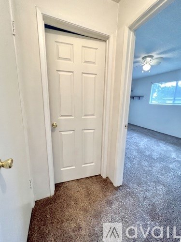 A white door with a gold handle is in a room with a carpeted floor.