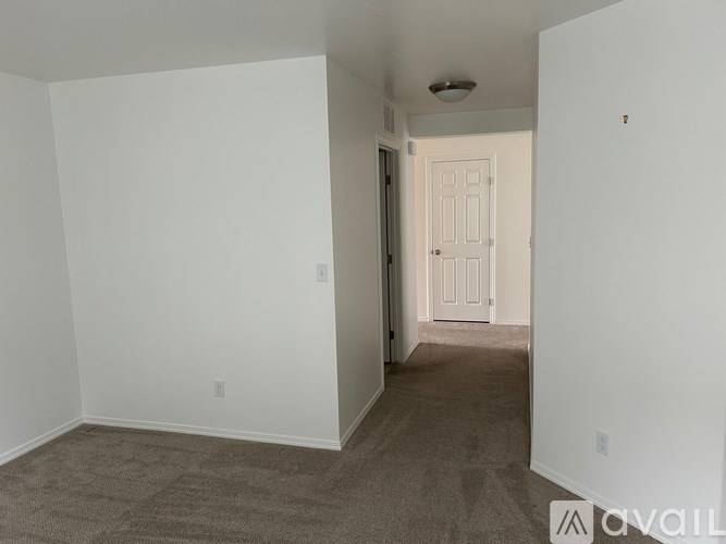 A carpeted hallway with a door on the right.