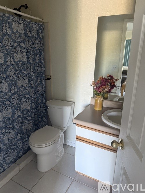 A bathroom with a toilet, sink, and shower curtain.