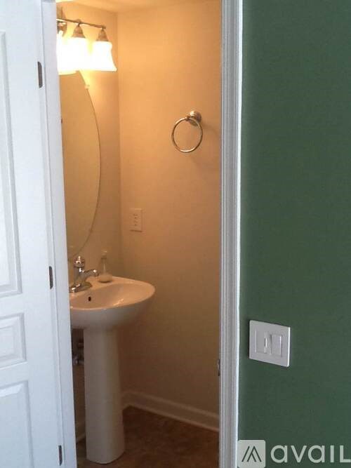 A bathroom with a white sink and a green door.