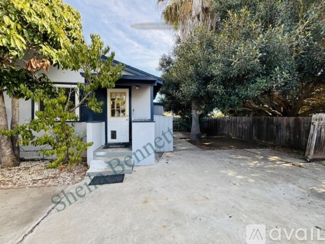 A house with a white door and a porch is surrounded by trees.