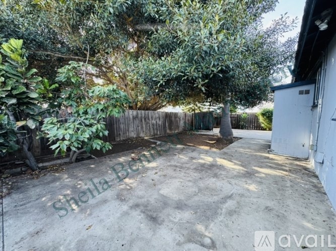 A backyard with a fence and trees.
