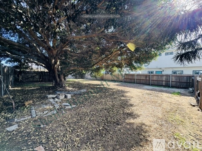 A backyard with a tree and a fence.