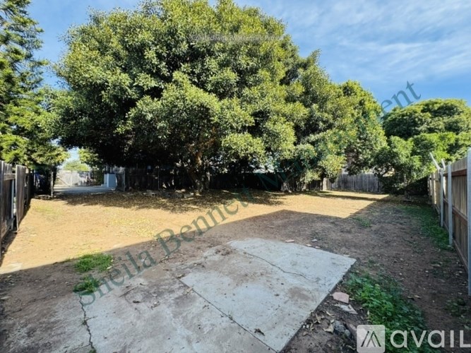 A backyard with a dirt area and a large tree.