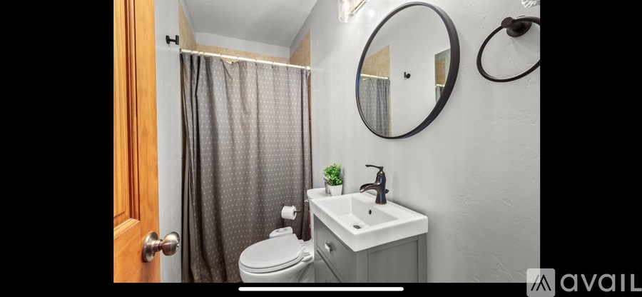 A bathroom with a toilet, sink, and shower curtain.