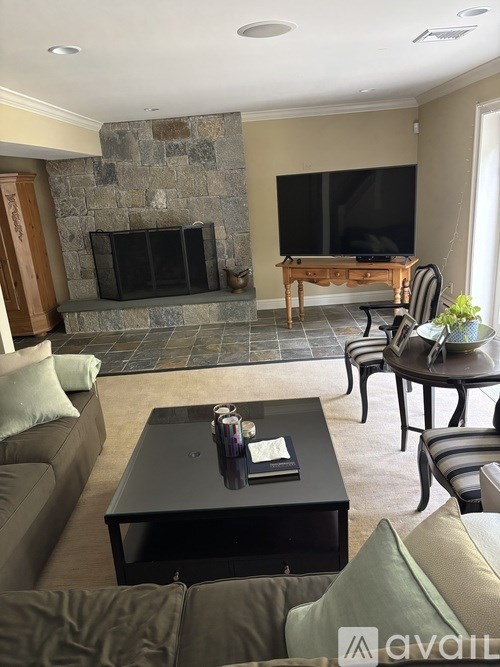 A living room with a stone fireplace and a television.