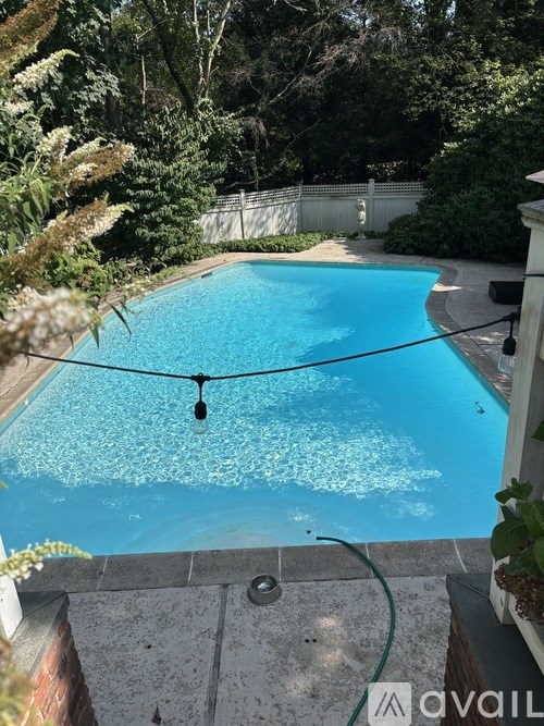 A pool with a blue tinted water surrounded by green plants.