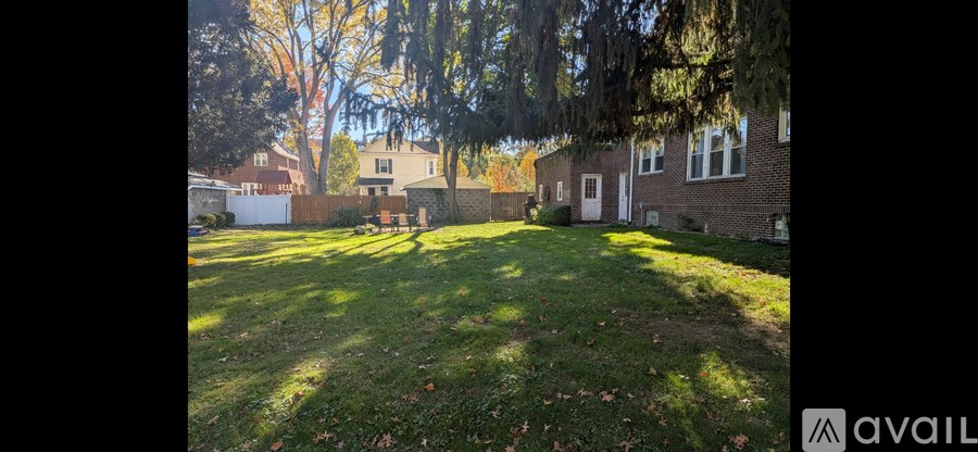 A backyard with a lawn and a tree.