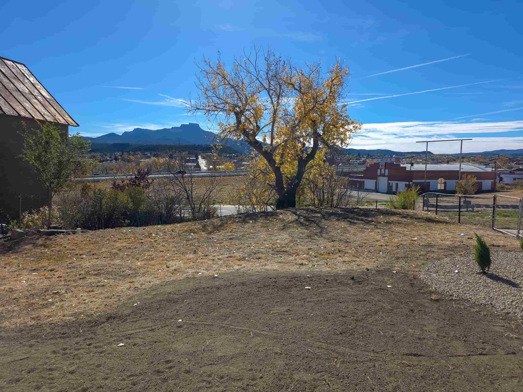 808 San Pedro 2 Beds House for Rent - Photo Gallery 14