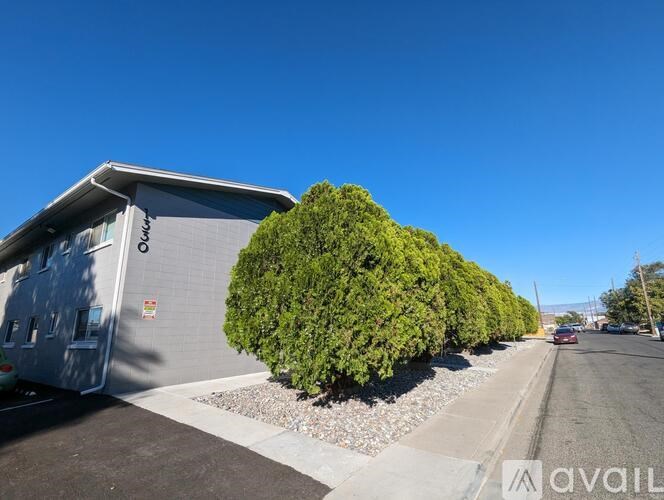 A street view with a building on the left and a large green bush in the middle.
