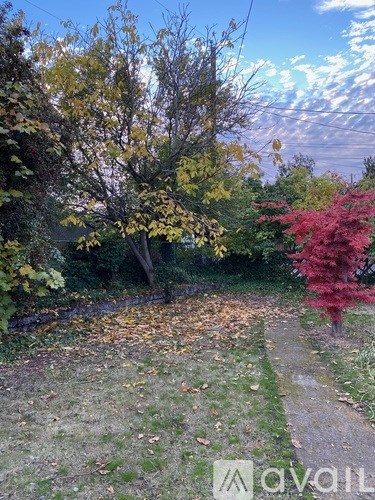 A path in a garden with trees and fallen leaves.