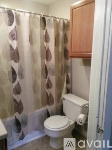 A bathroom with a toilet and a shower curtain.