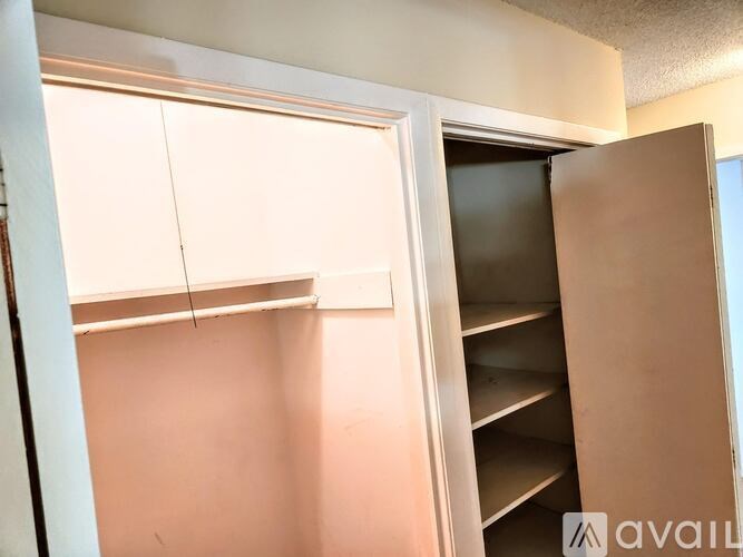 A kitchen pantry with a white door and shelves.