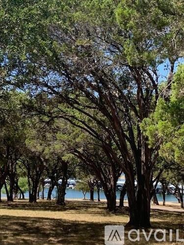 A row of trees in front of a body of water.