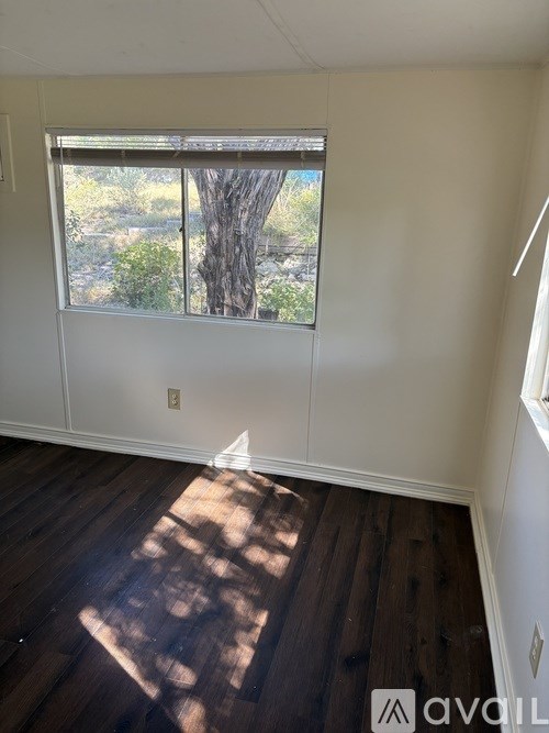 A room with a window showing a tree outside.