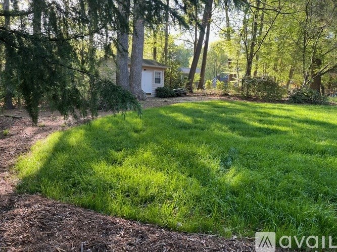 A backyard with a grassy area and trees.