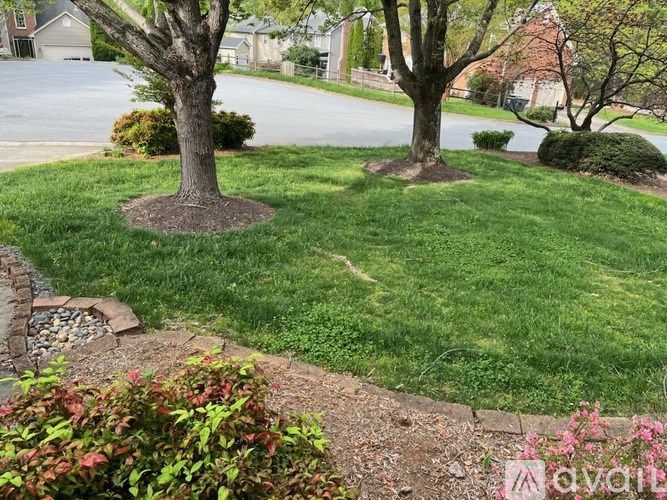 A well-maintained lawn with a tree and a rock garden.