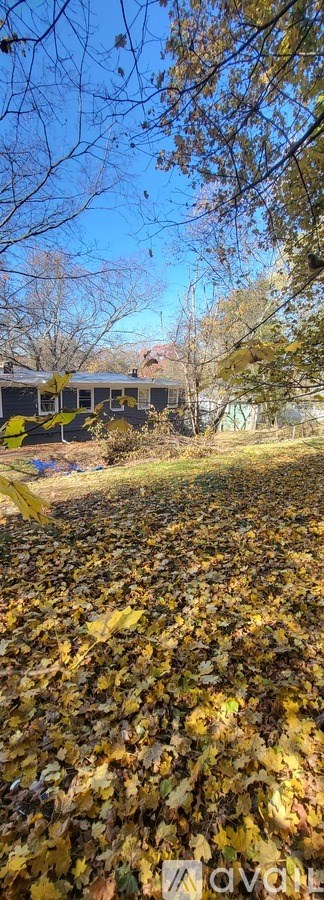 A field of fallen leaves with a house in the background.