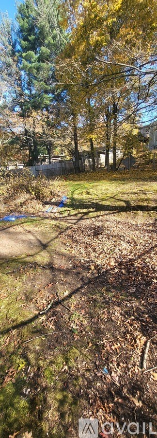 A tree with yellow leaves stands in a grassy area.
