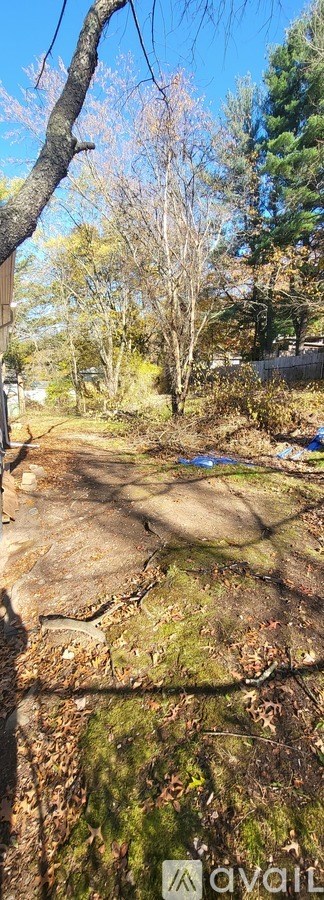 A tree with no leaves stands in a field.