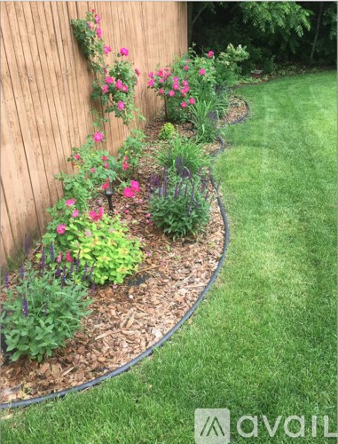 A garden with a hose in the foreground and a wooden fence.