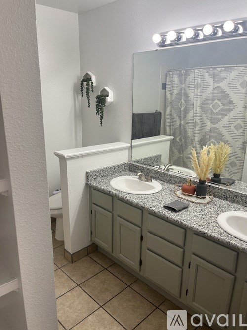 A bathroom with a sink, mirror, and a plant.