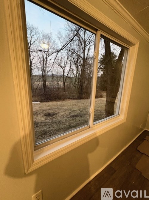 A window with a view of a field and trees.